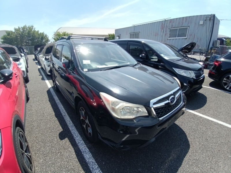 FORESTER