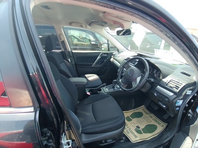 FORESTER