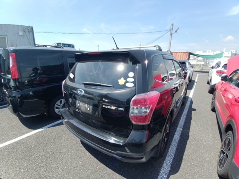 FORESTER