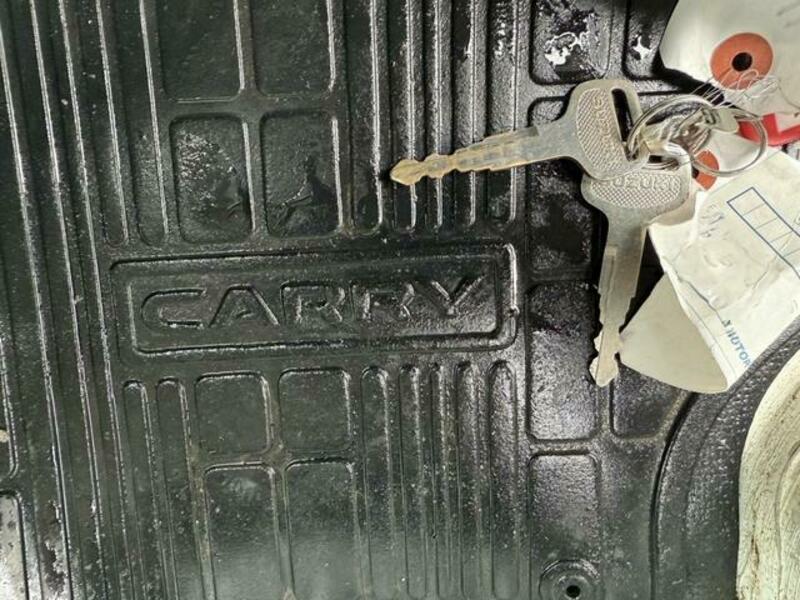 CARRY TRUCK