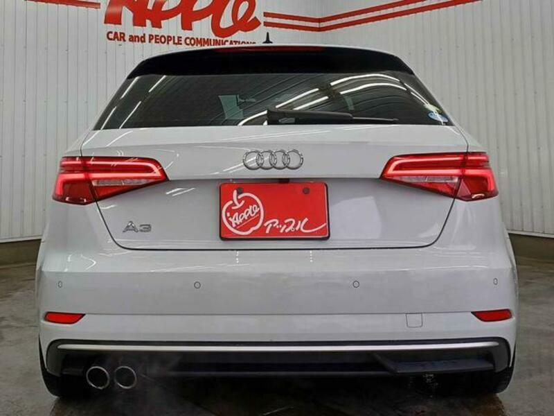A3