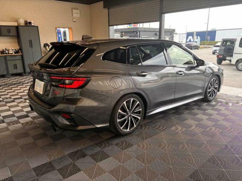 LEVORG