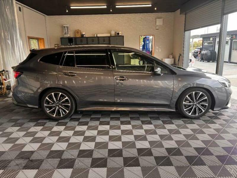 LEVORG