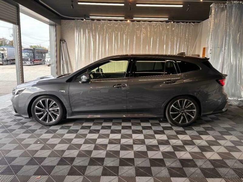 LEVORG