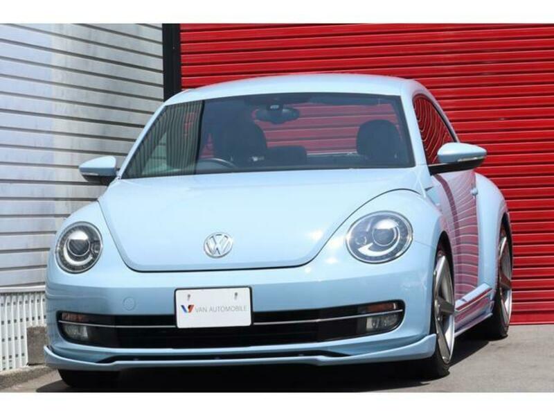 THE BEETLE