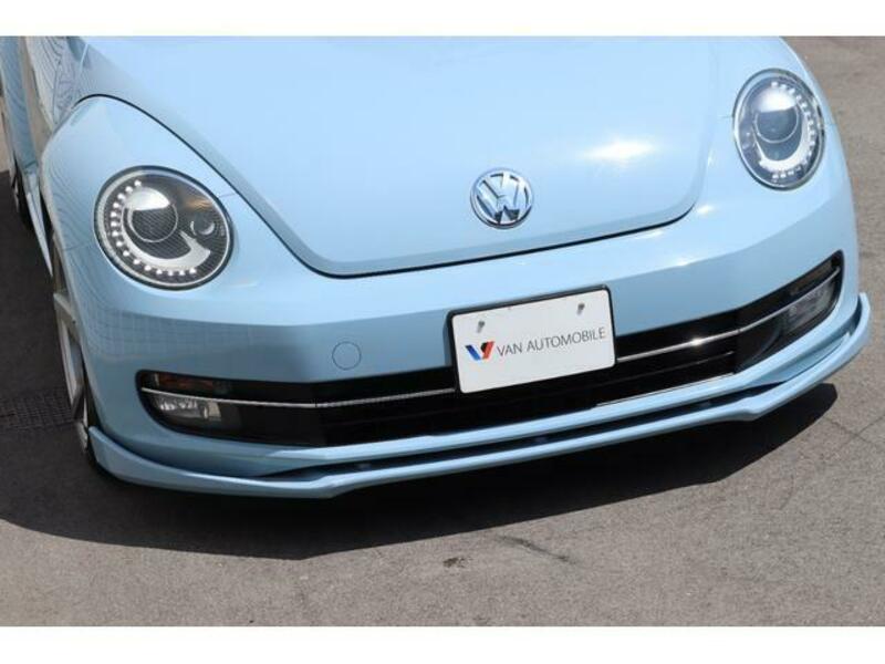 THE BEETLE