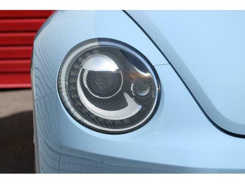 THE BEETLE