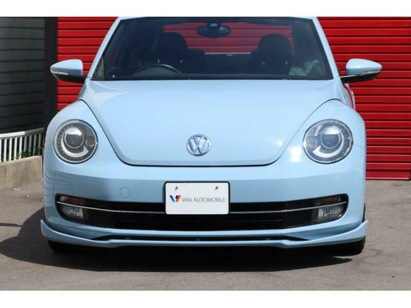 THE BEETLE