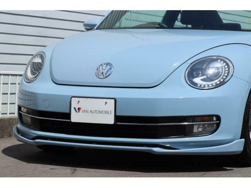 THE BEETLE