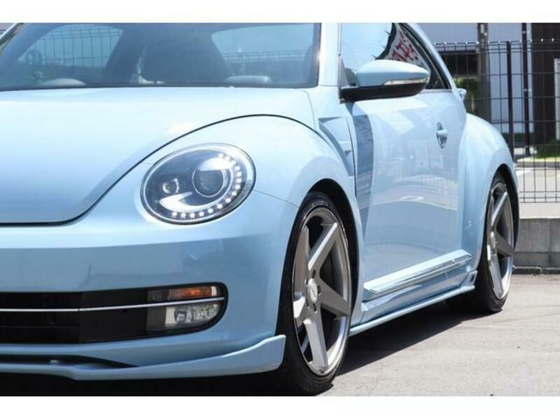 THE BEETLE