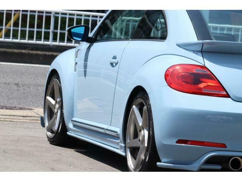 THE BEETLE