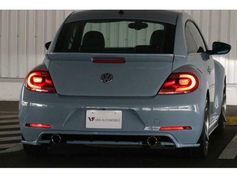 THE BEETLE