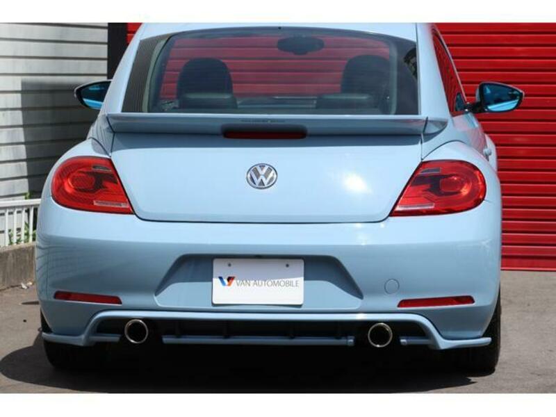 THE BEETLE