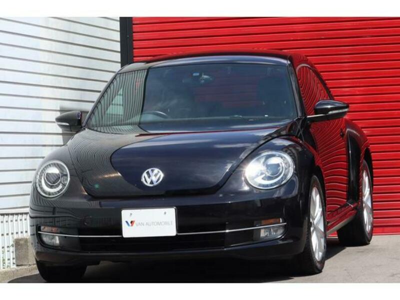 THE BEETLE