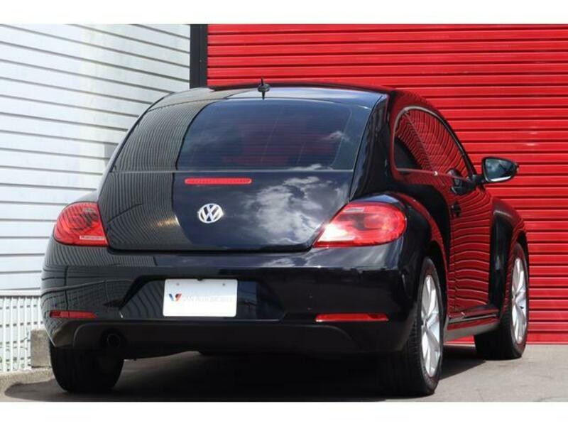 THE BEETLE