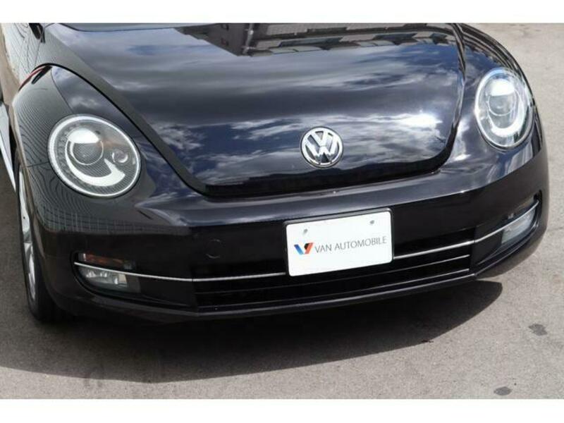 THE BEETLE
