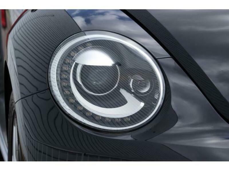 THE BEETLE