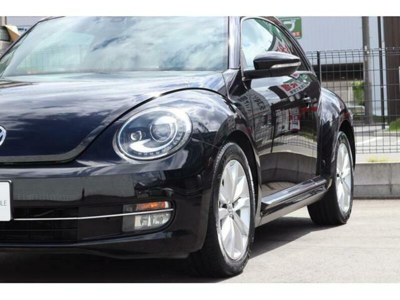THE BEETLE