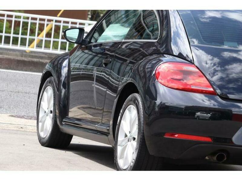 THE BEETLE