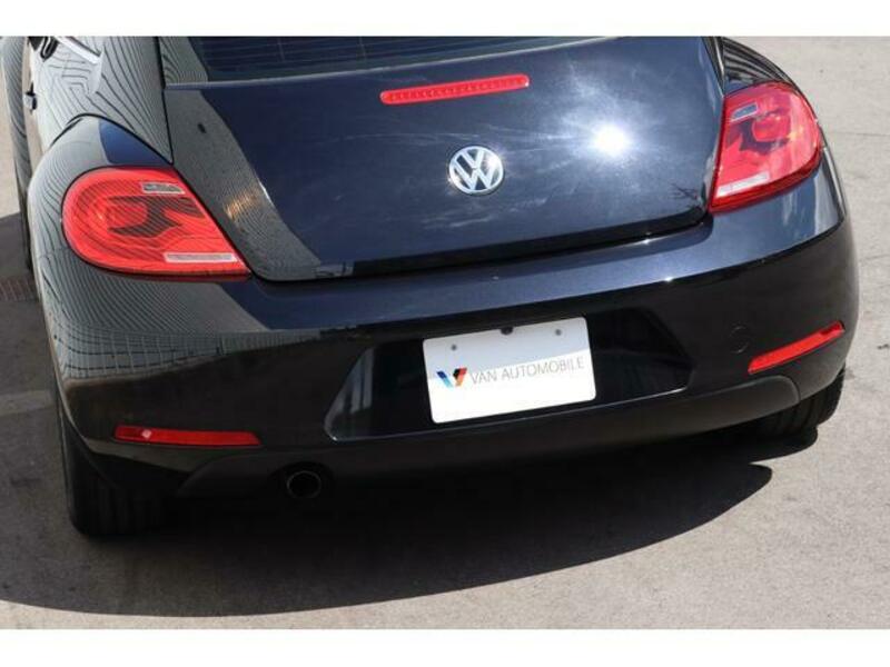 THE BEETLE