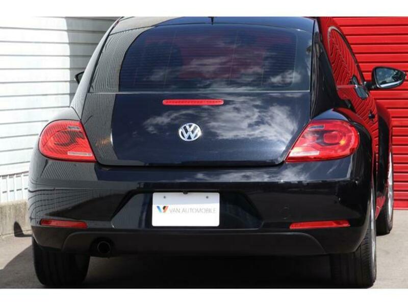 THE BEETLE