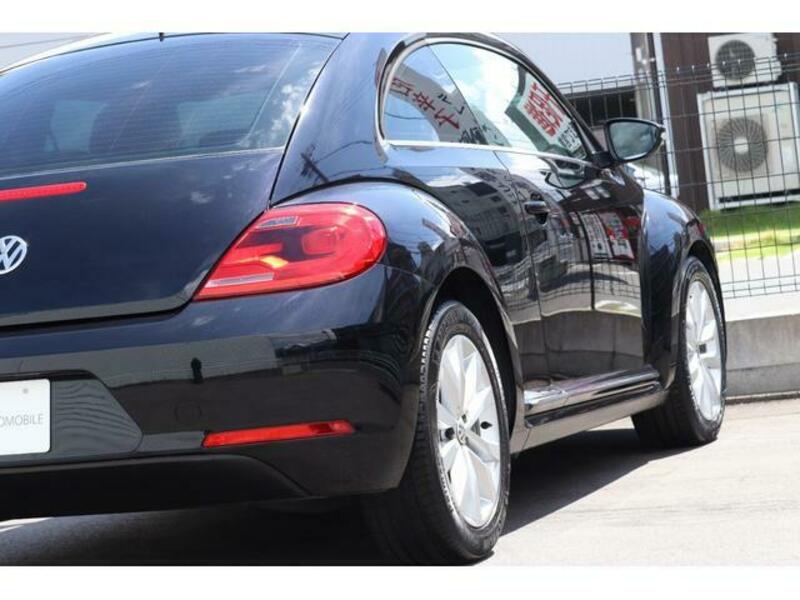 THE BEETLE