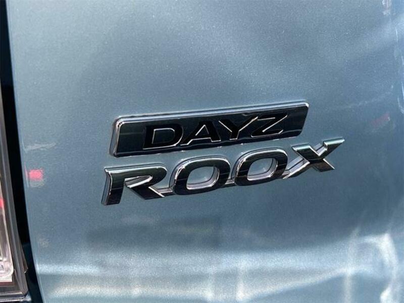 DAYZ ROOX