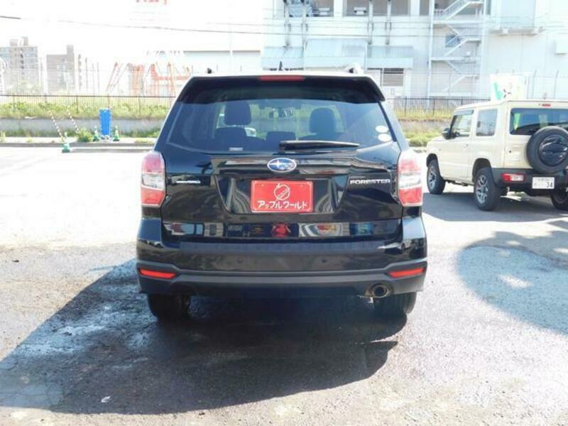 FORESTER