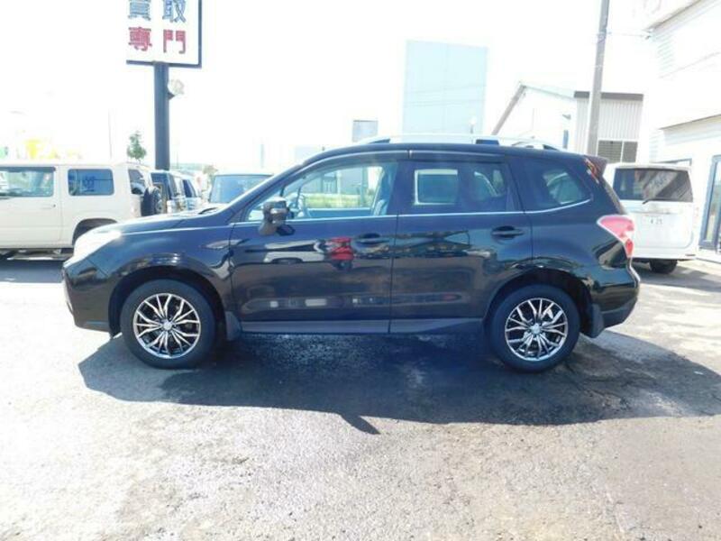 FORESTER