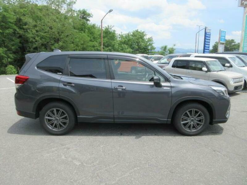 FORESTER
