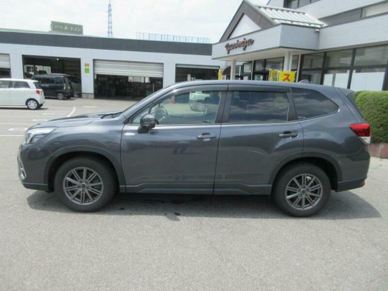 FORESTER