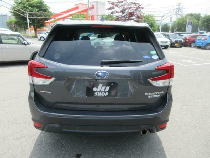 FORESTER