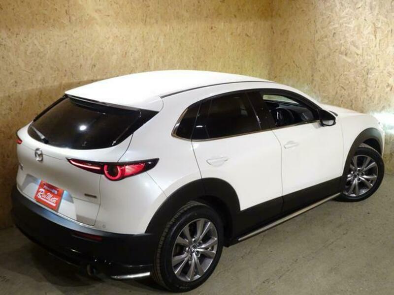 CX-30