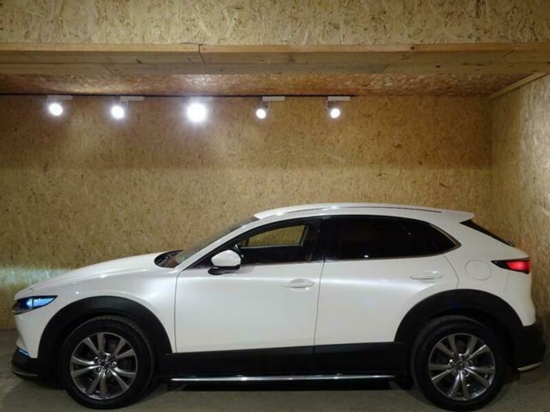 CX-30