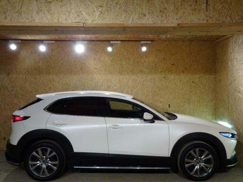 CX-30