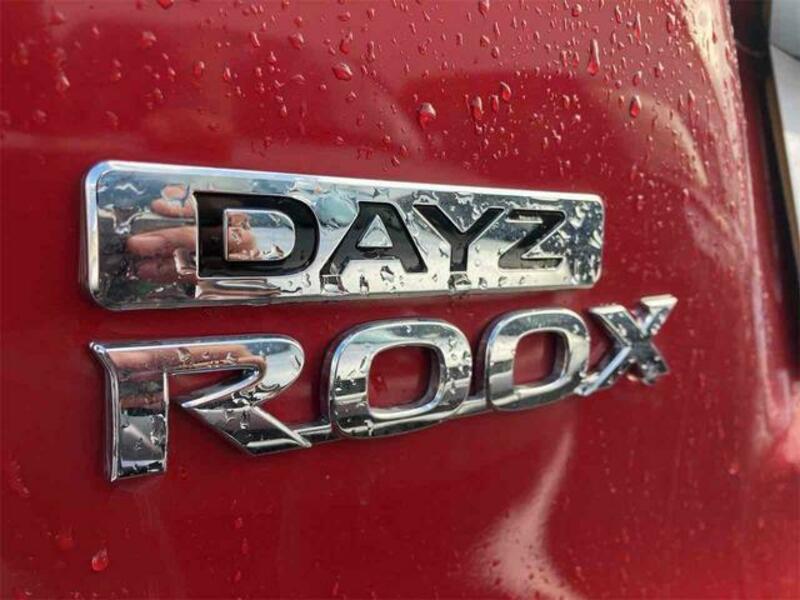 DAYZ ROOX