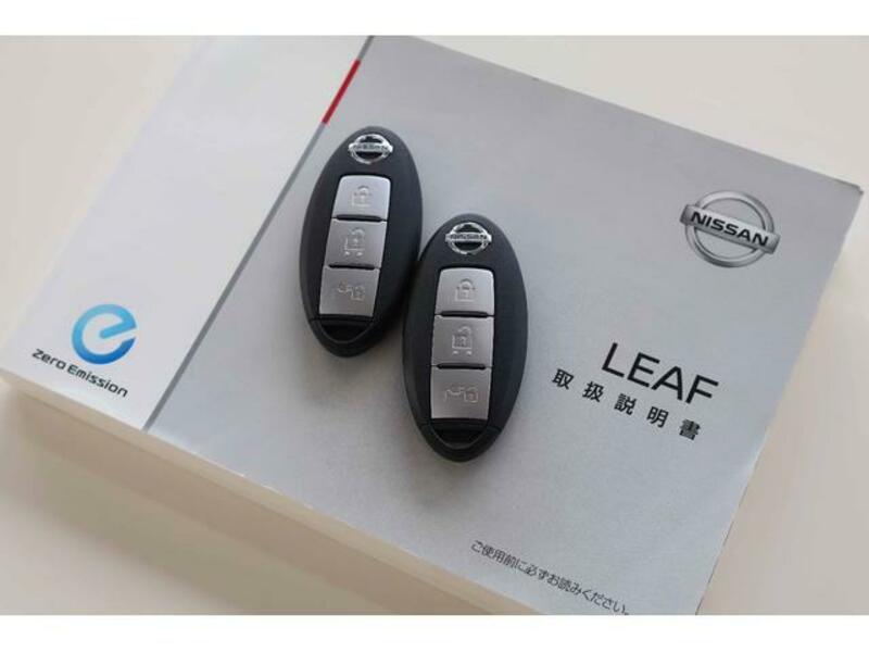 LEAF