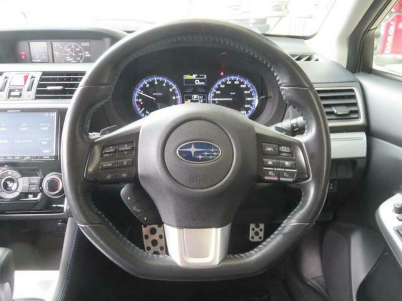 LEVORG