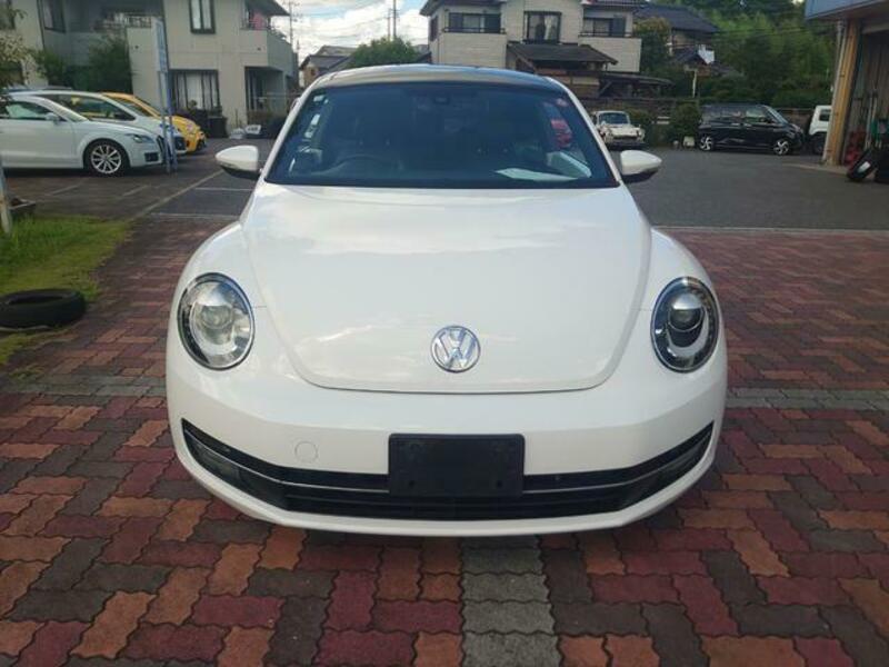 THE BEETLE