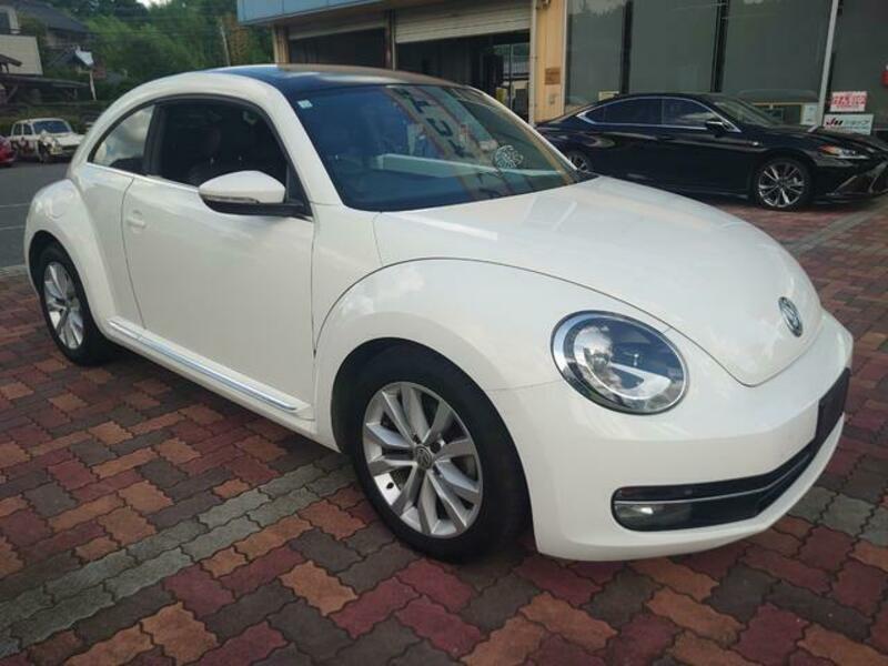 THE BEETLE