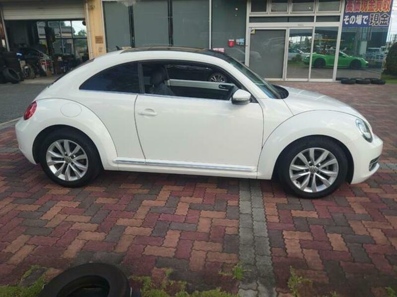 THE BEETLE
