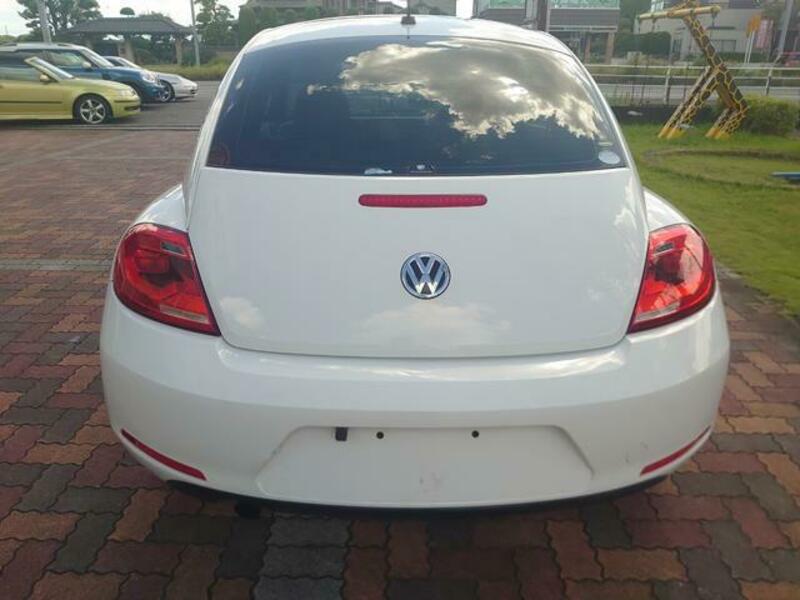 THE BEETLE