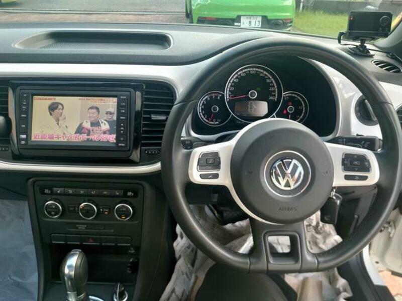 THE BEETLE