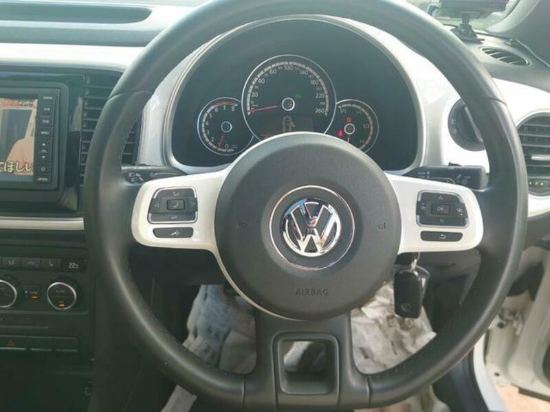 THE BEETLE
