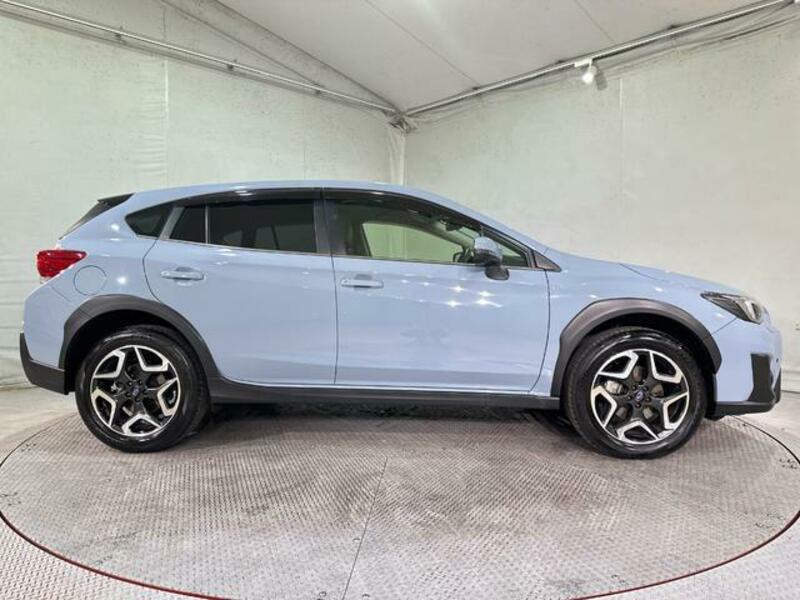 XV