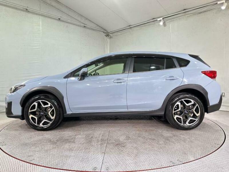 XV