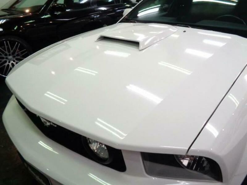 MUSTANG