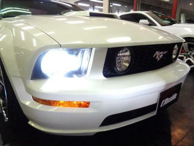 MUSTANG