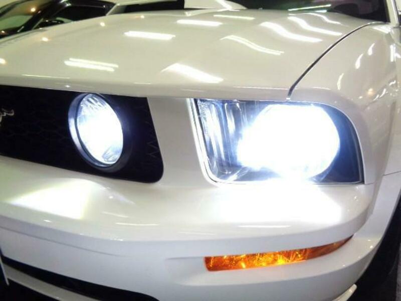 MUSTANG
