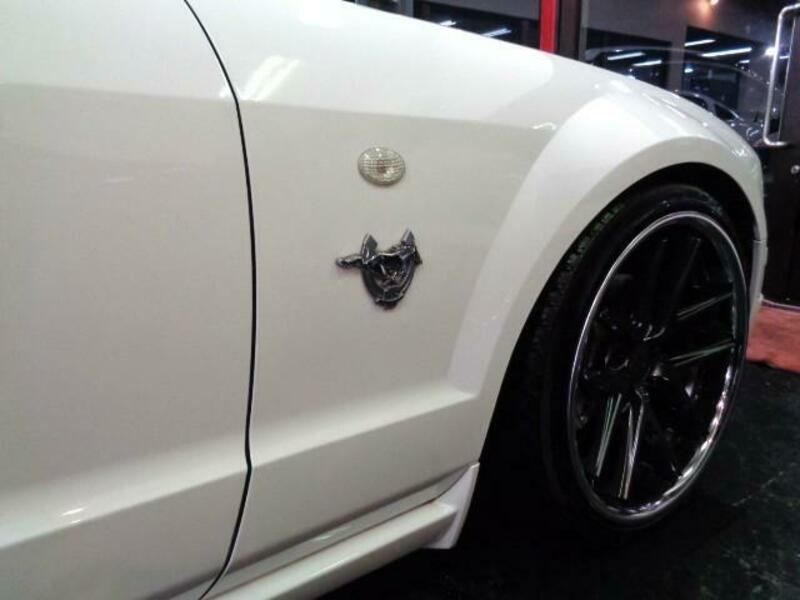 MUSTANG